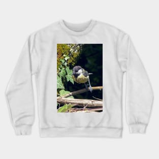 LE PANASONIC FZ 200 PAR OKAIO CRÉATION Crewneck Sweatshirt